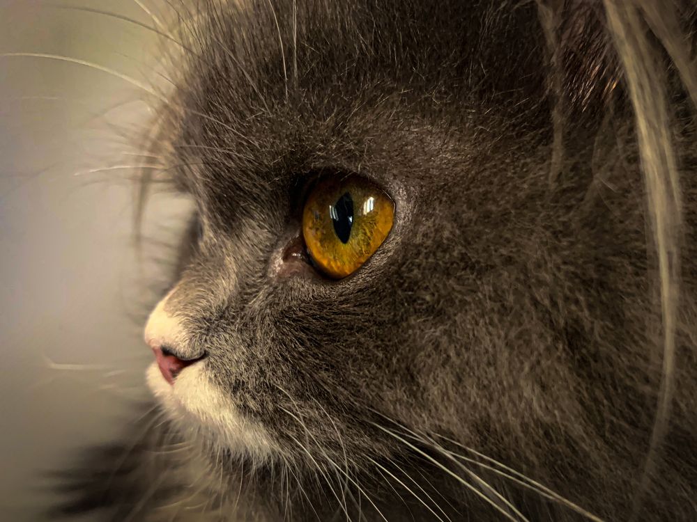 Photograph by Ahmed zaki