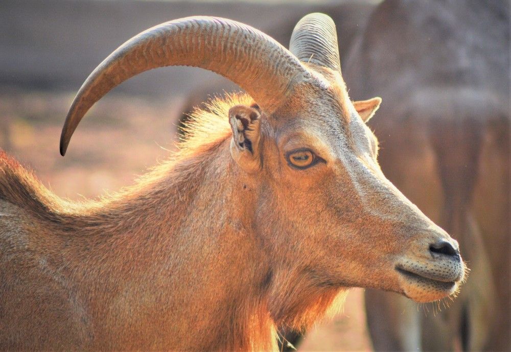 Photograph by Mohammad Rasheed