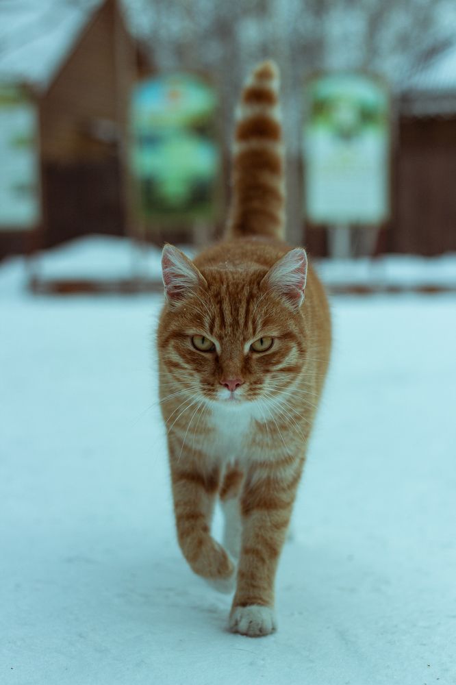 Photograph by Сергей Григоров