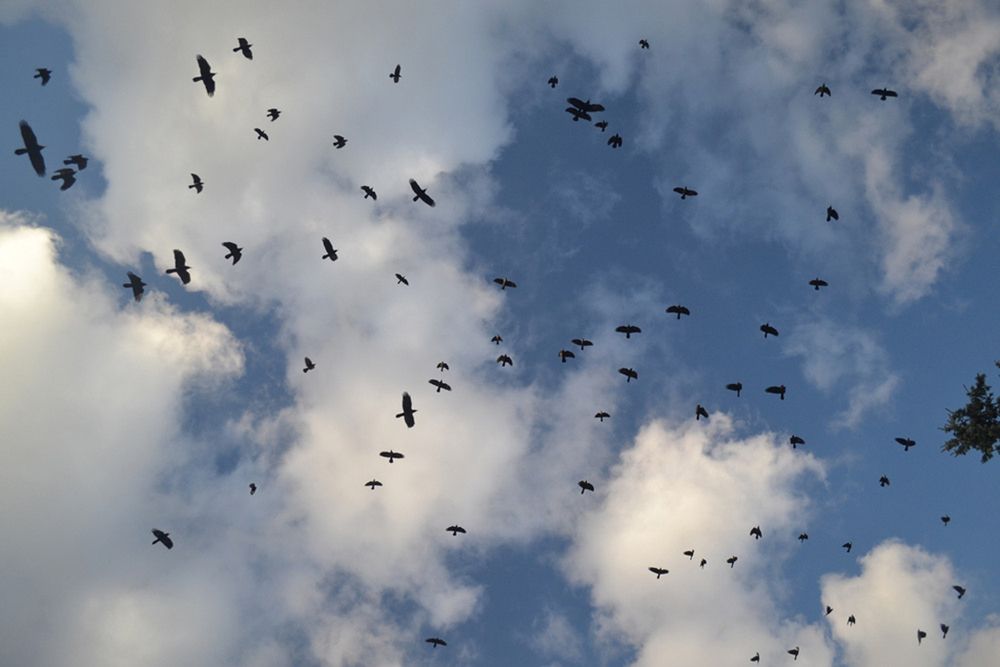 Photograph by Сергей Рулевский