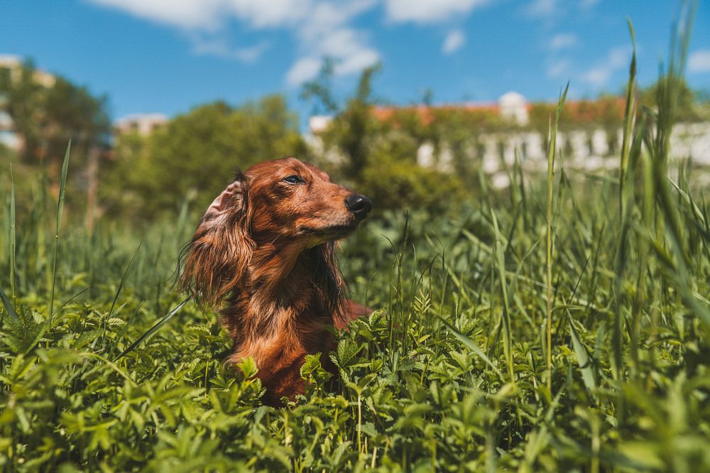 Photograph by Pavel Micek