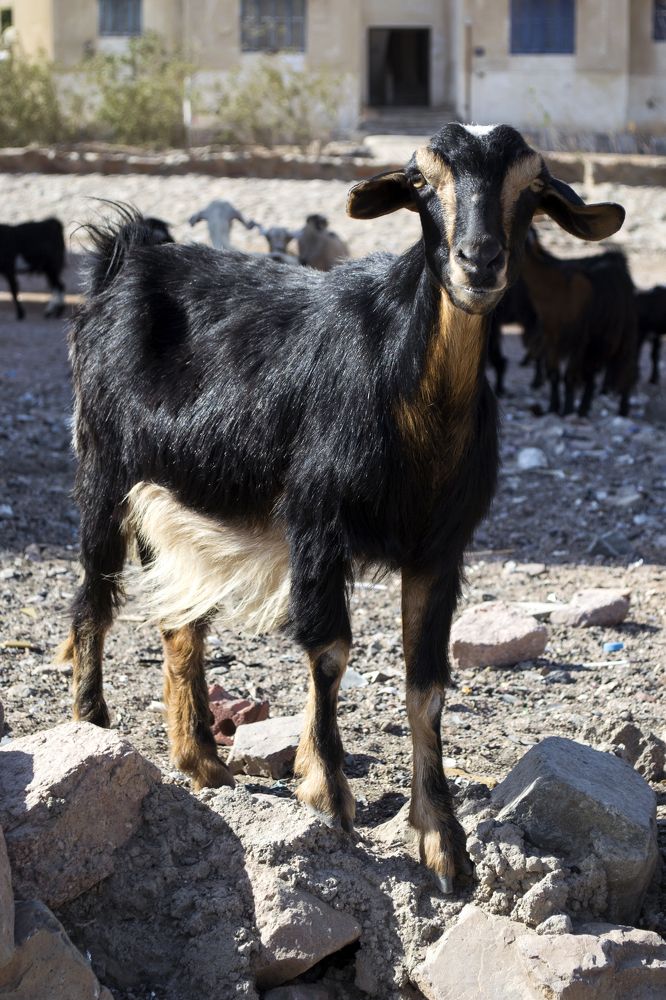 Photograph by Nora Cheprasova