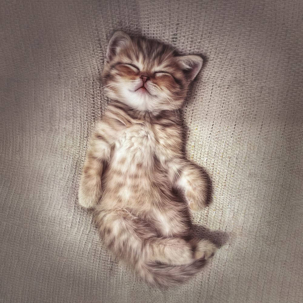 Любимая поза)