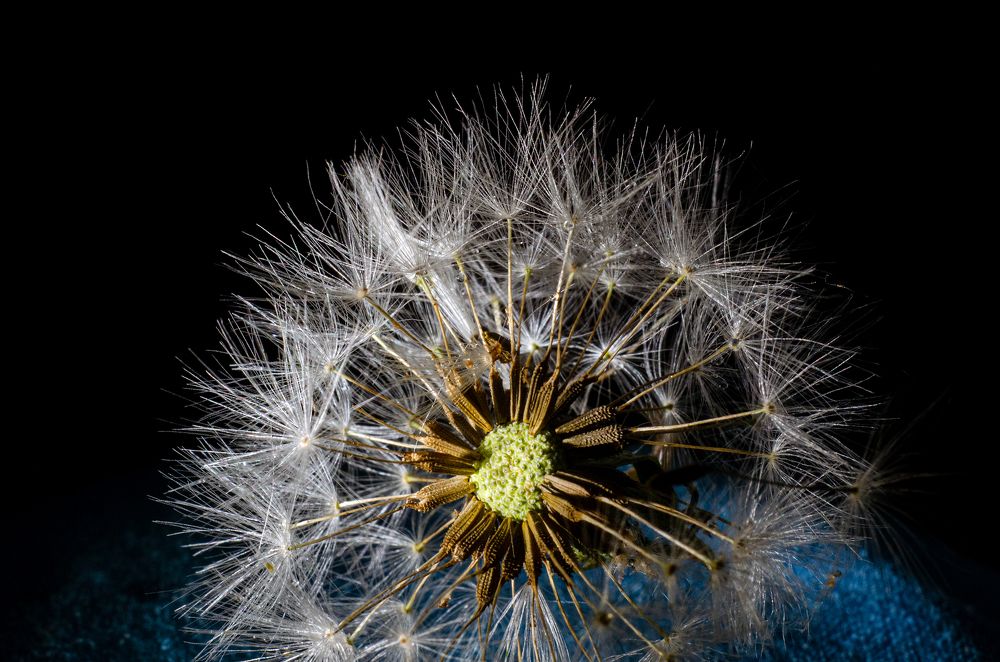 Photograph by маргиз Сафаров