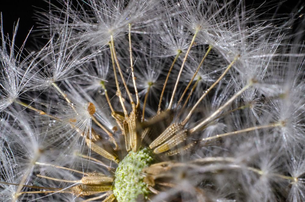 Photograph by маргиз Сафаров