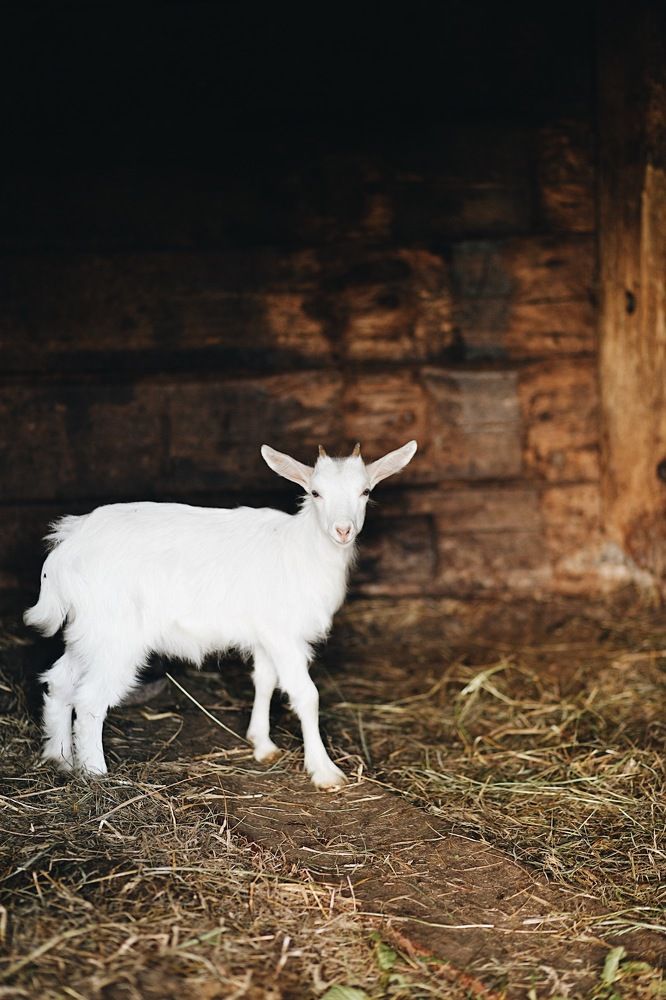 Photograph by Блинковская Вероника