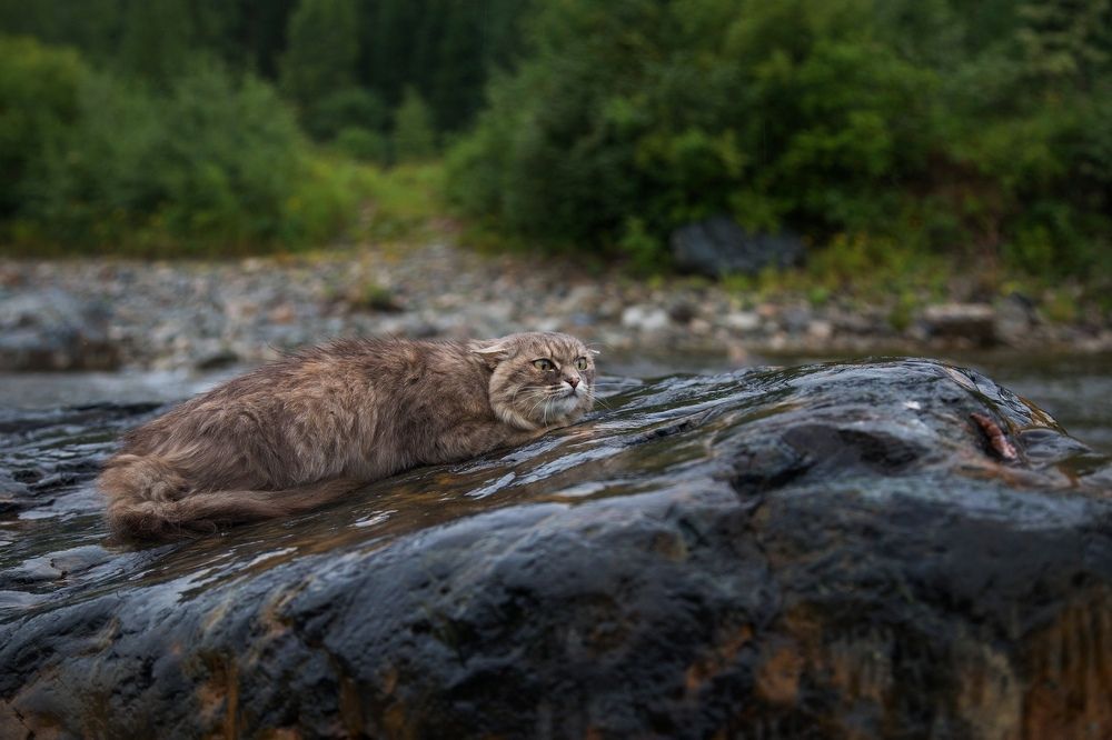 Photograph by Художников Павел