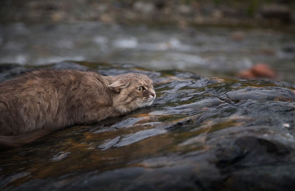 Photograph by Художников Павел