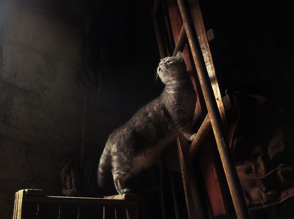 Photograph by Инна Буглак