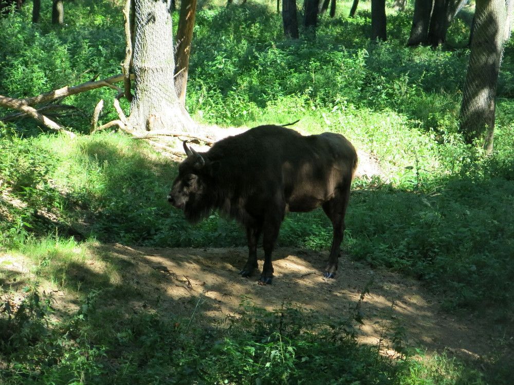 Photograph by ЭЛЬМИРА  ИСМАИЛОВА