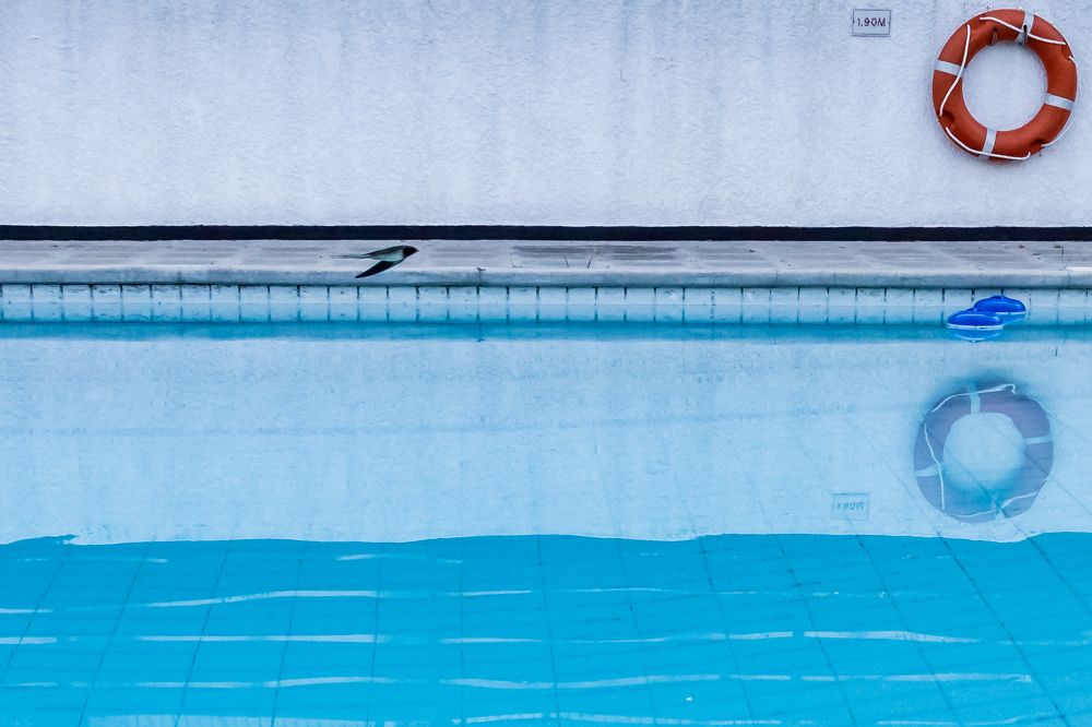 Photograph by Игорь Калинин