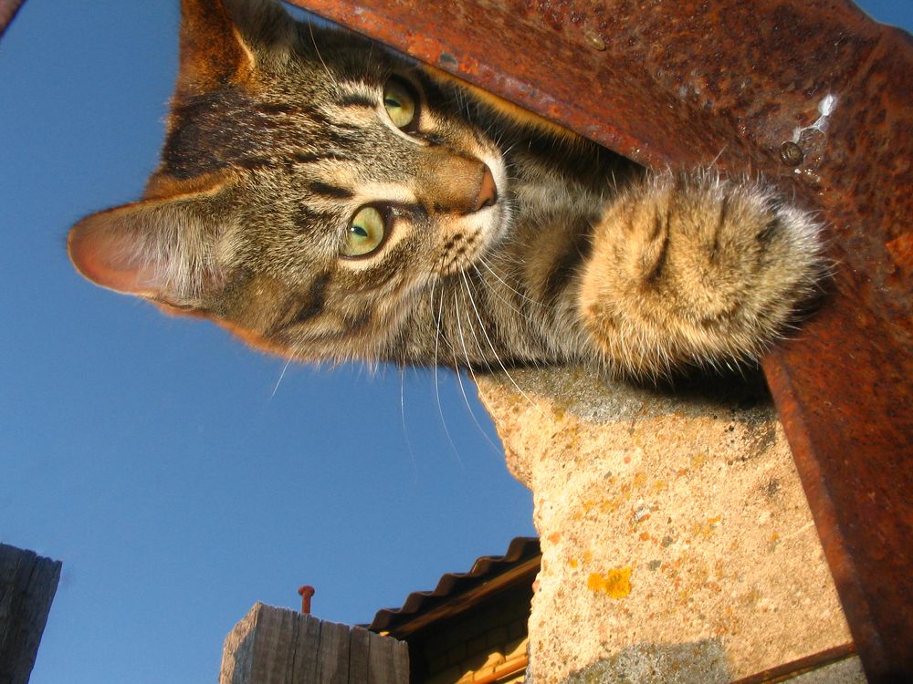 Photograph by Грязев Сергей