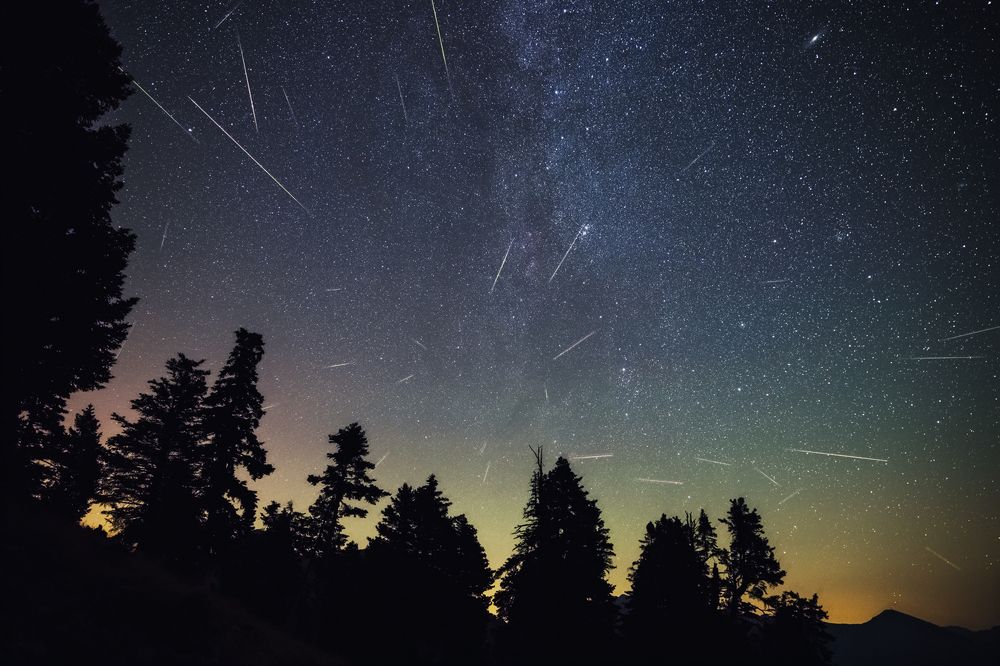 Photograph by CHRIS TSAMIS