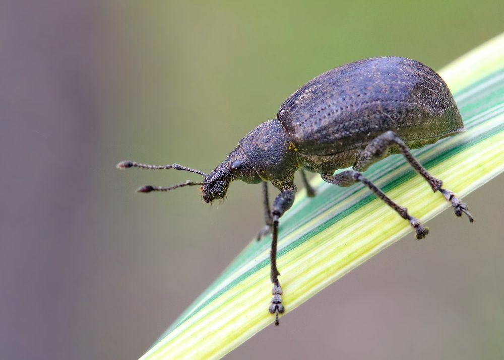 Photograph by Игорь Осипов