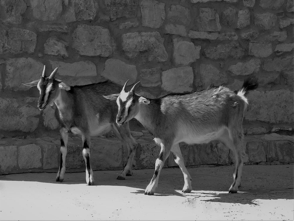 Photograph by Ирина Самойленко