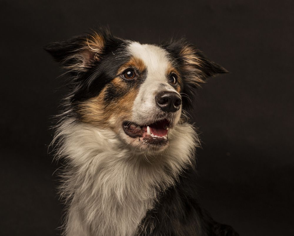 Photograph by Алексей Малышев