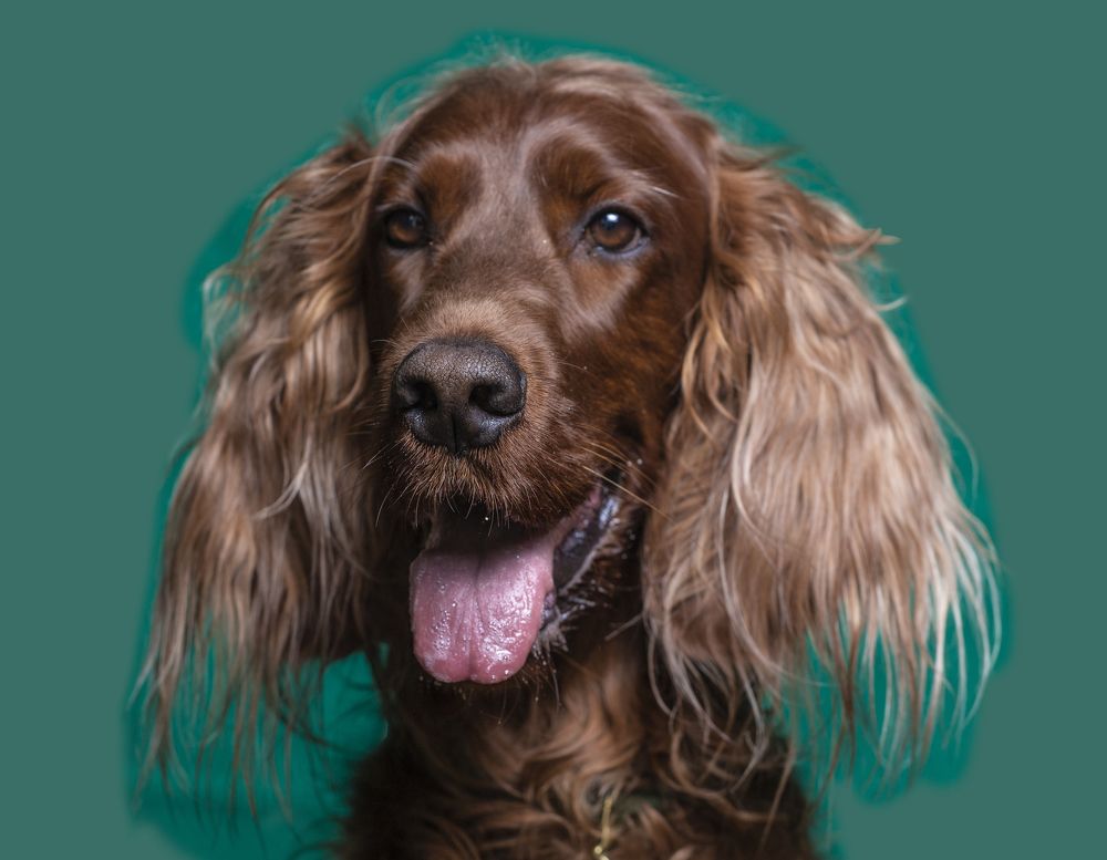 Photograph by Алексей Малышев