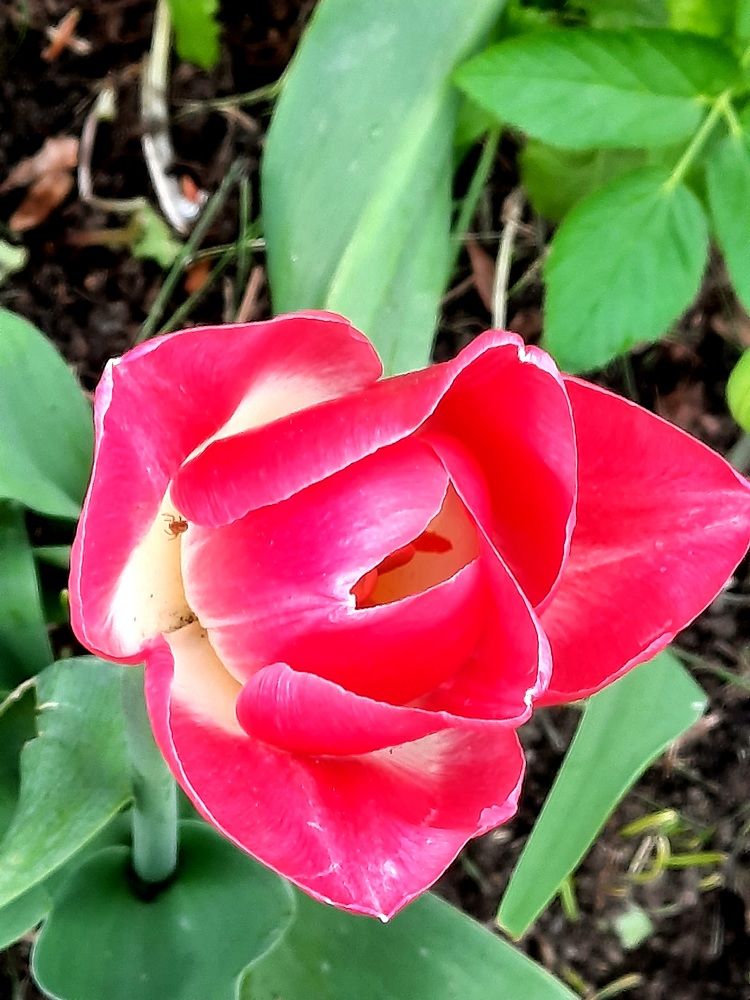 Photograph by Инна Демкив