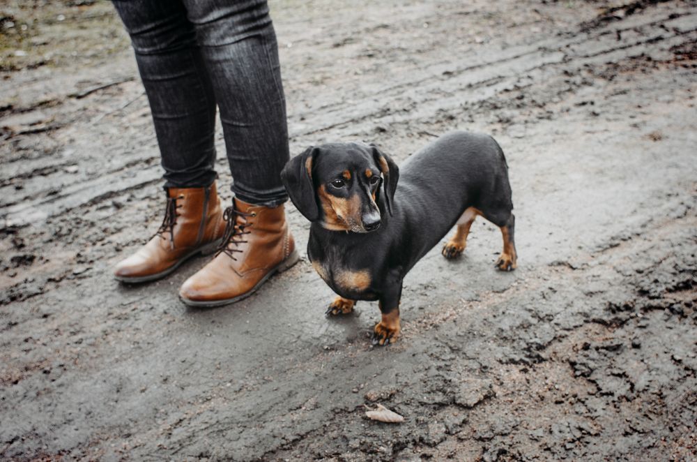 в одной гамме))