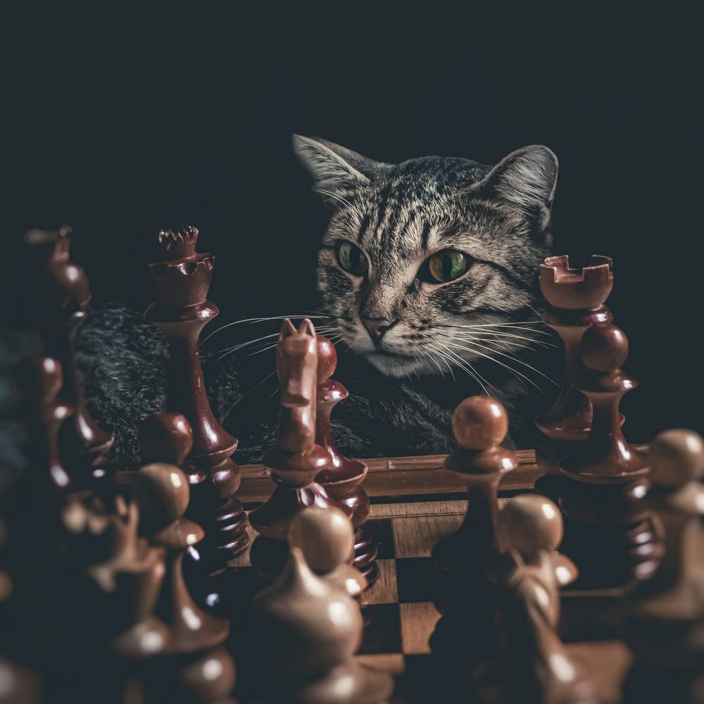 Photograph by Максим Петровский