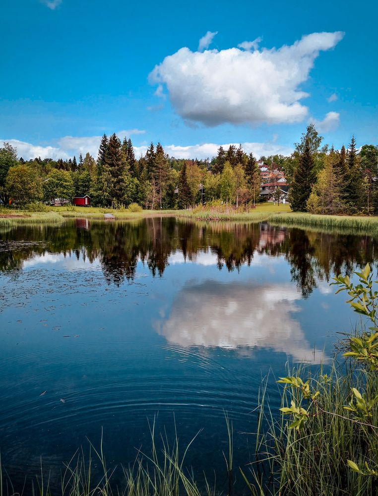 Фотография автора Anna NovaLova