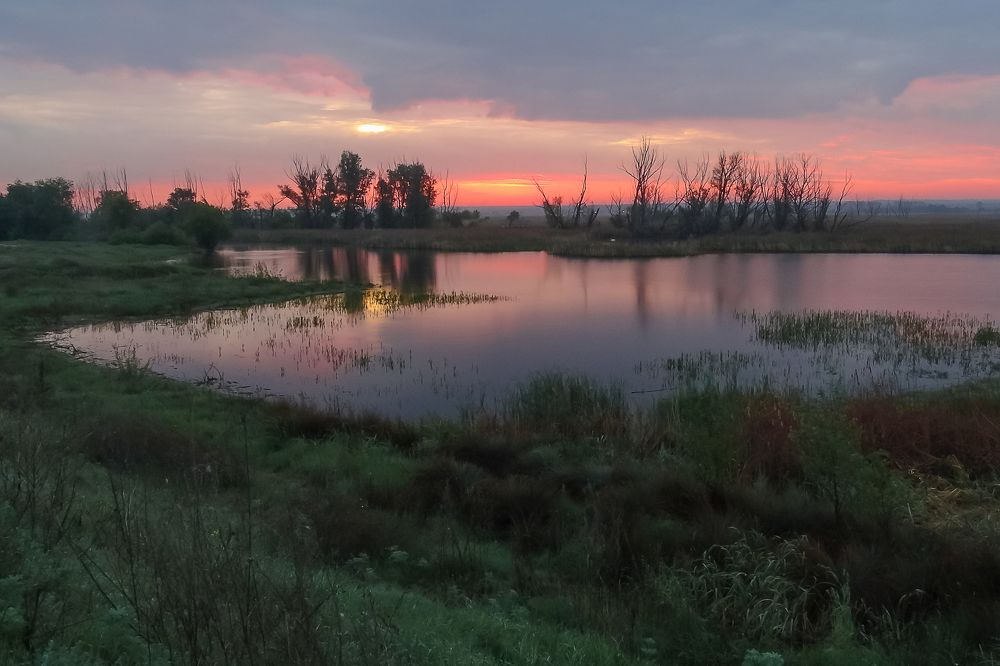 Photograph by Чмырев Роман Васильевич