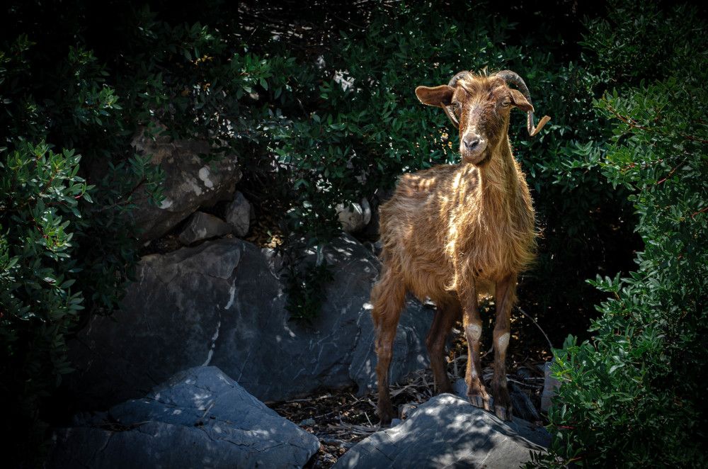 Photograph by Сергей