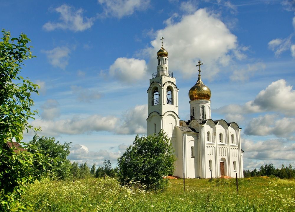 Фотография автора 