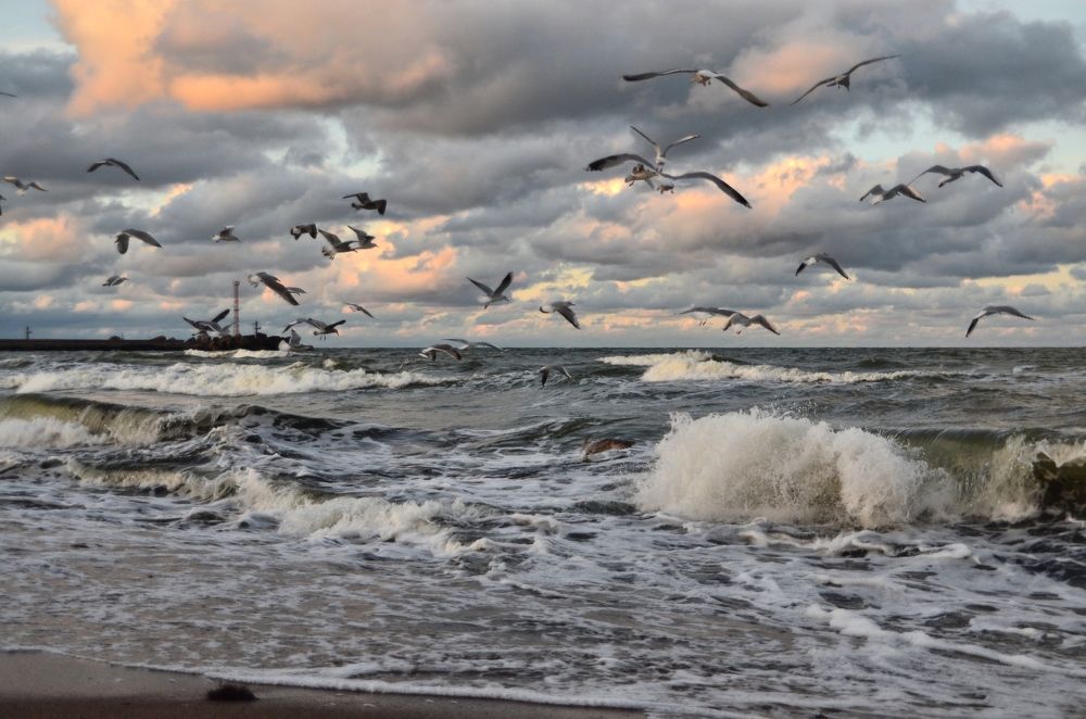 Photograph by Galina Baranovskaja