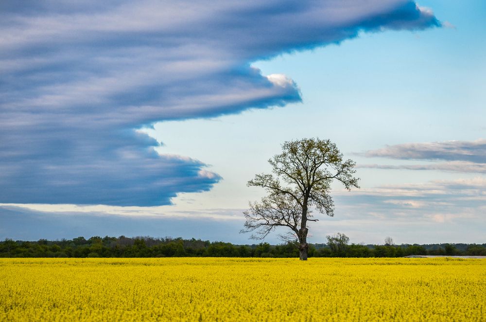 Зубастые облака