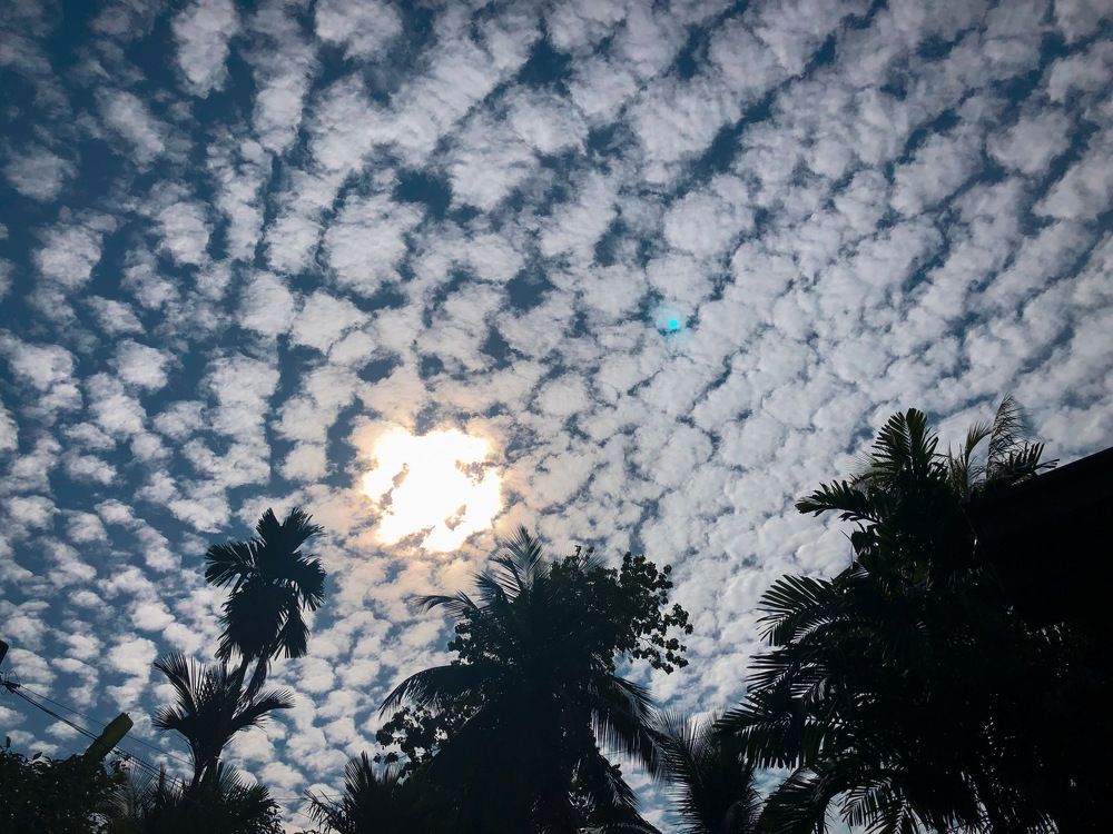 Фотография автора Sachini Sarathchandra