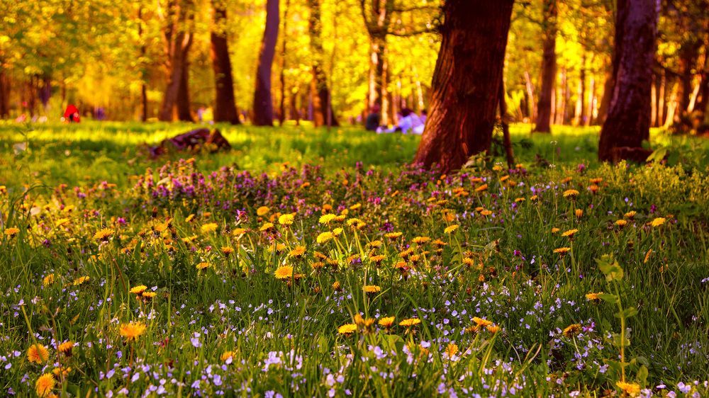 Photograph by Андрей Кошман