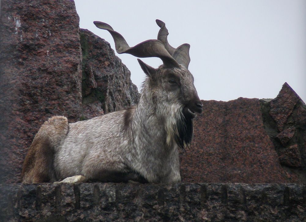 Photograph by Марина