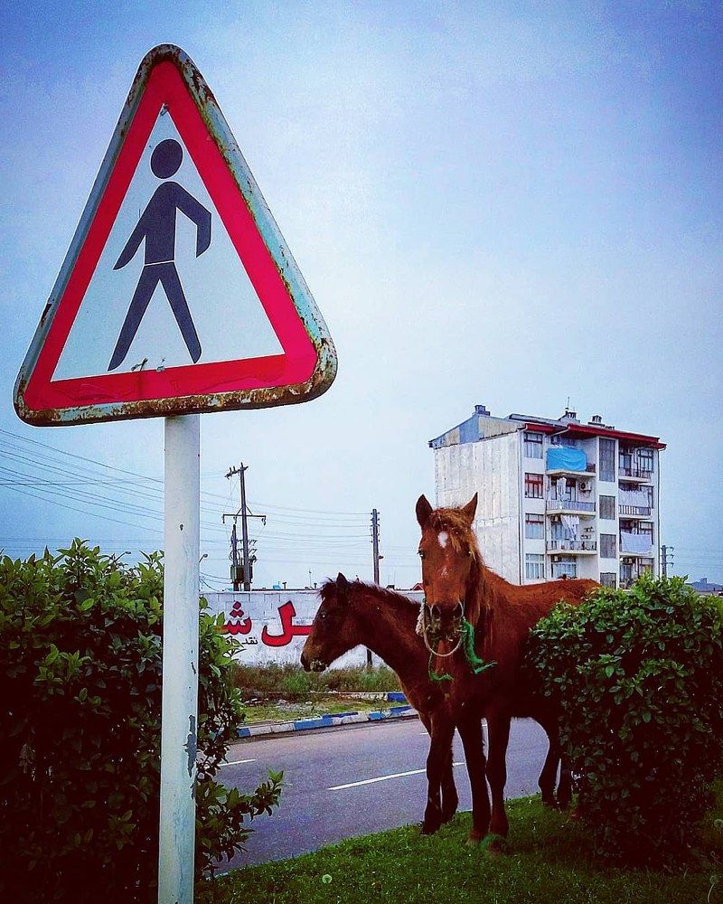 Photograph by Ata Hashemi