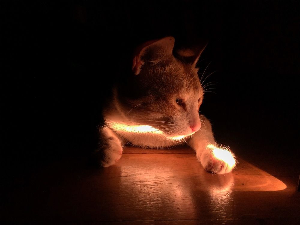 Фотография автора Sachini Sarathchandra