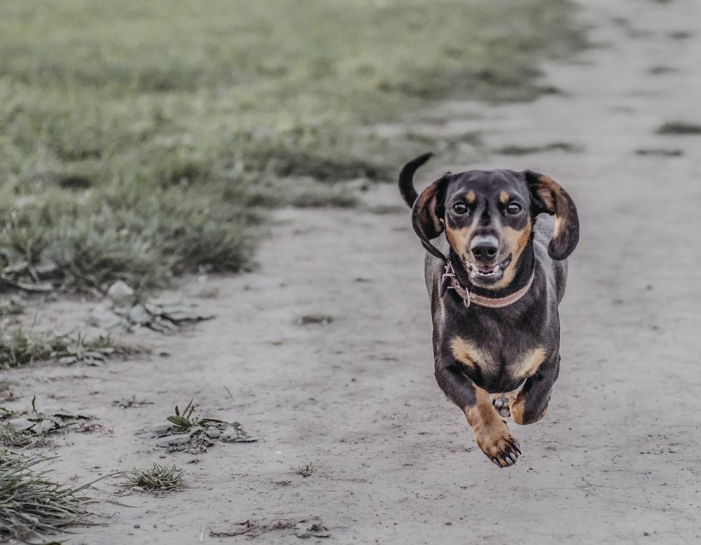 Photograph by Элла Алексеева