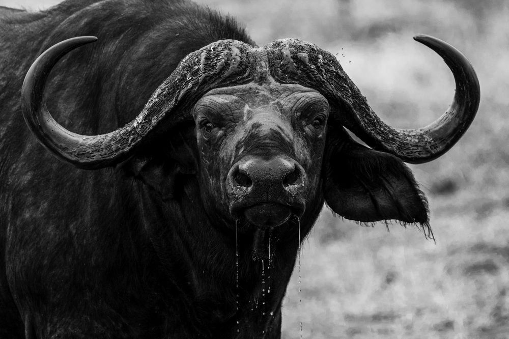 Фотография автора Ricardo Ferreira