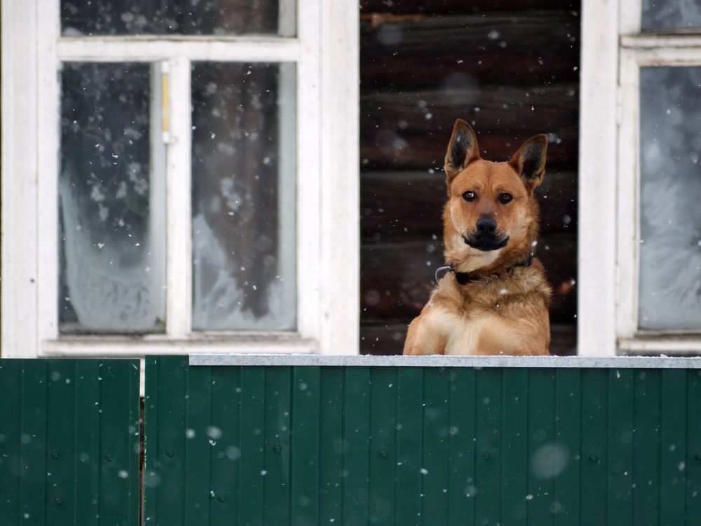 Photograph by Елена Данилова