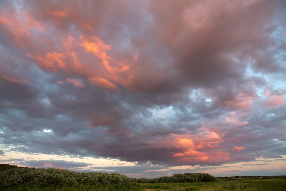 Фотография автора Олег Грачёв