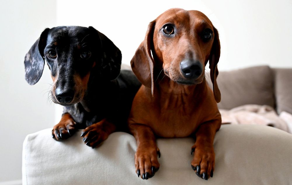 Фотография автора Сергей Митянин