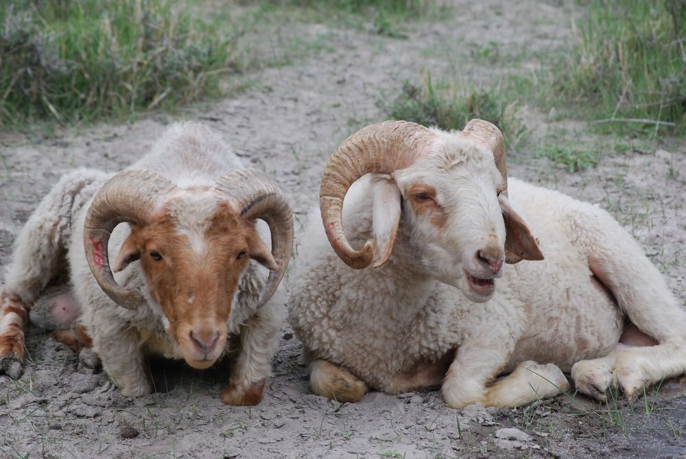 Photograph by Noor Shah