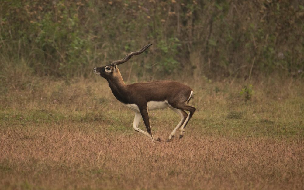 Photograph by Nabarun Majumdar