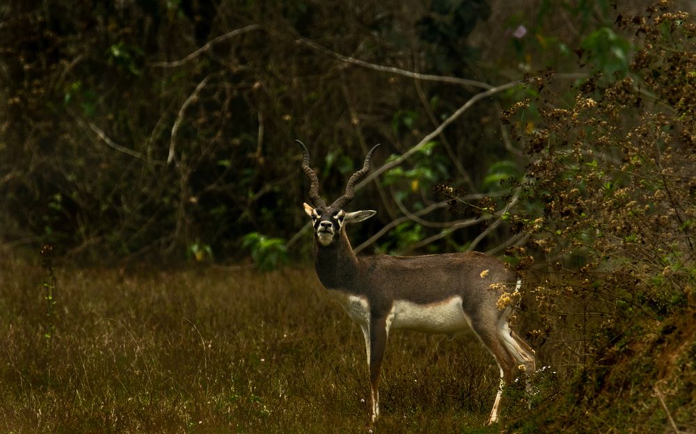 Photograph by Nabarun Majumdar