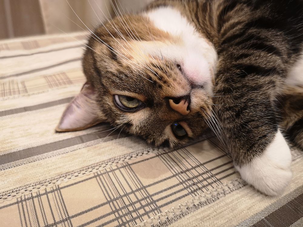 Photograph by Ольга Потачева