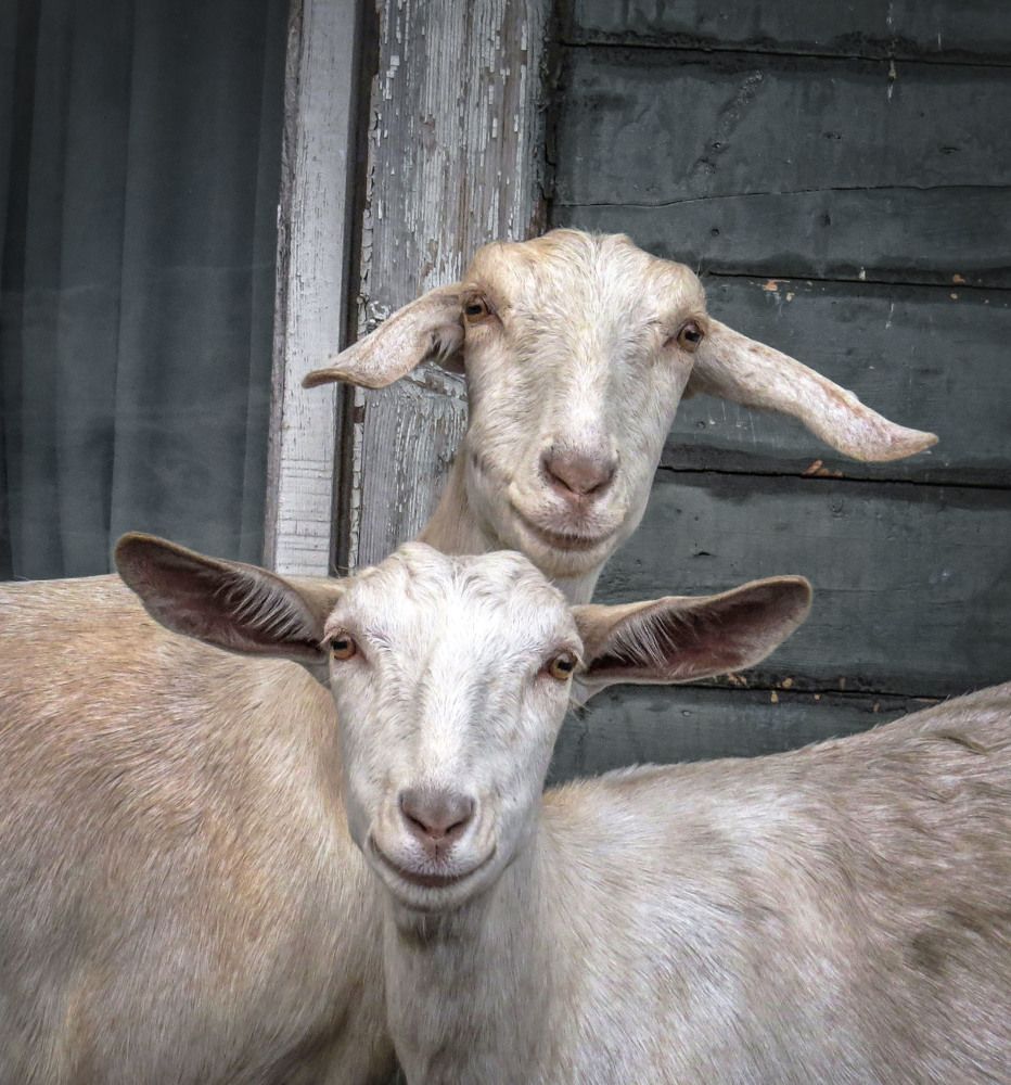 Photograph by Нина Будникова