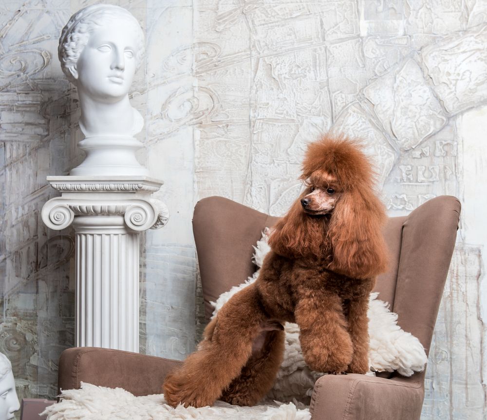 Photograph by Максим Ушаков