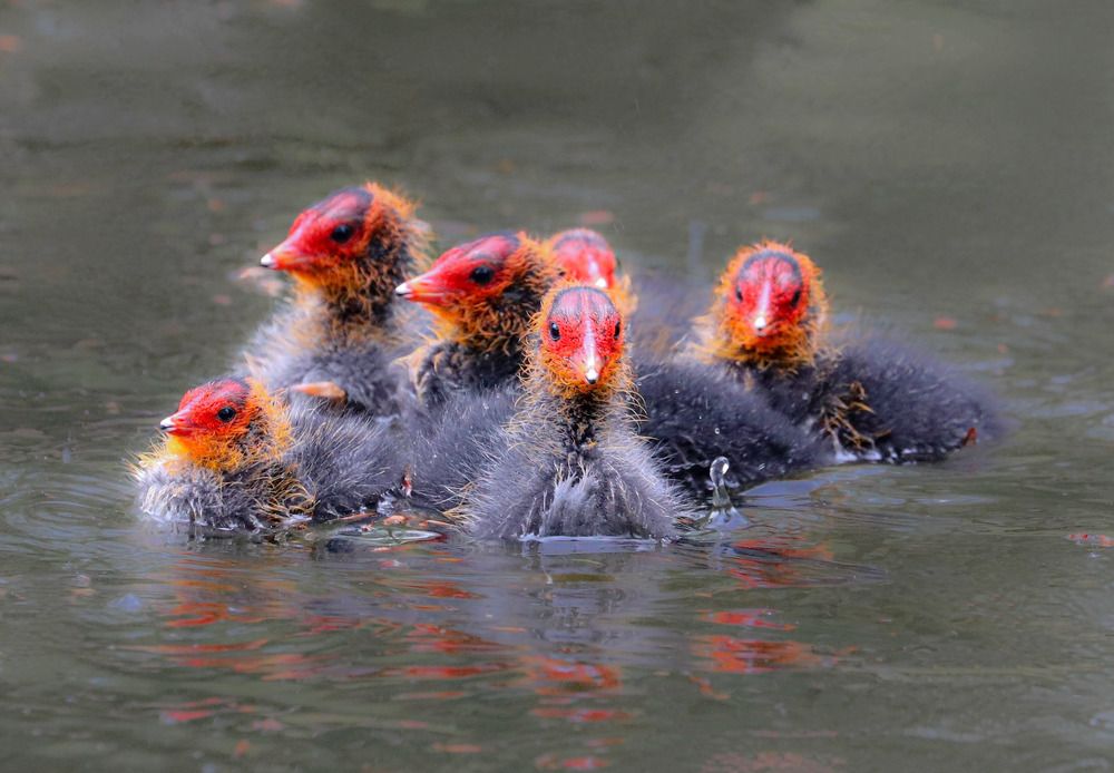 Photograph by Ambi Puvi