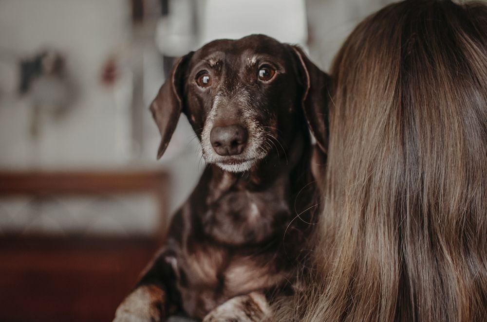 Photograph by Элла Алексеева