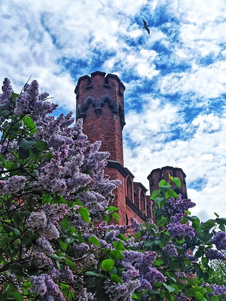 Photograph by Вера Родионова