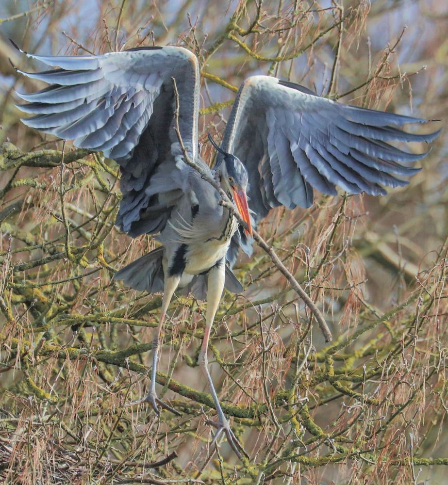 Photograph by Ambi Puvi